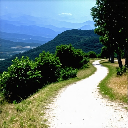 Panoramic view of Lovcen mountain with hiking trail and lush greenery